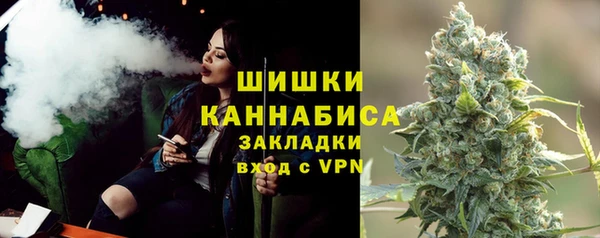 индика Навашино