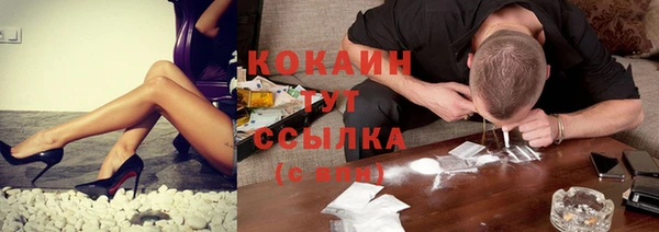 индика Навашино