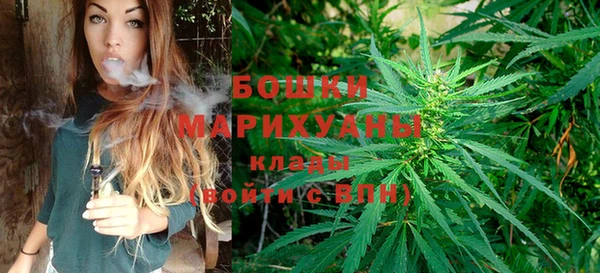 индика Навашино