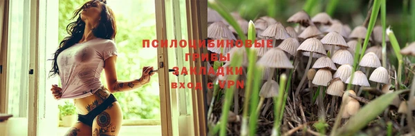 индика Навашино
