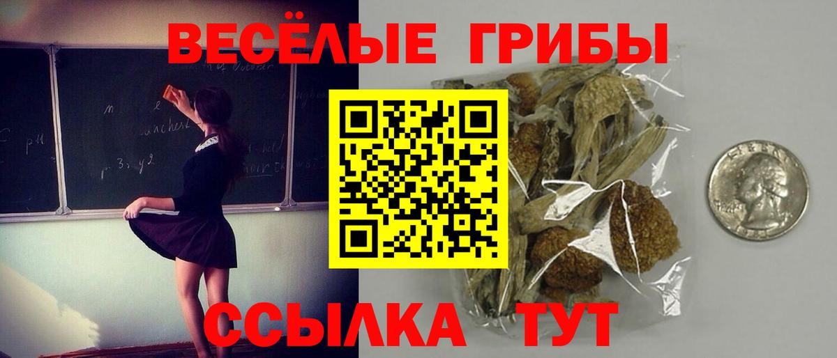 Псилоцибиновые грибы Magic Shrooms  Вход с VPN  Удомля 